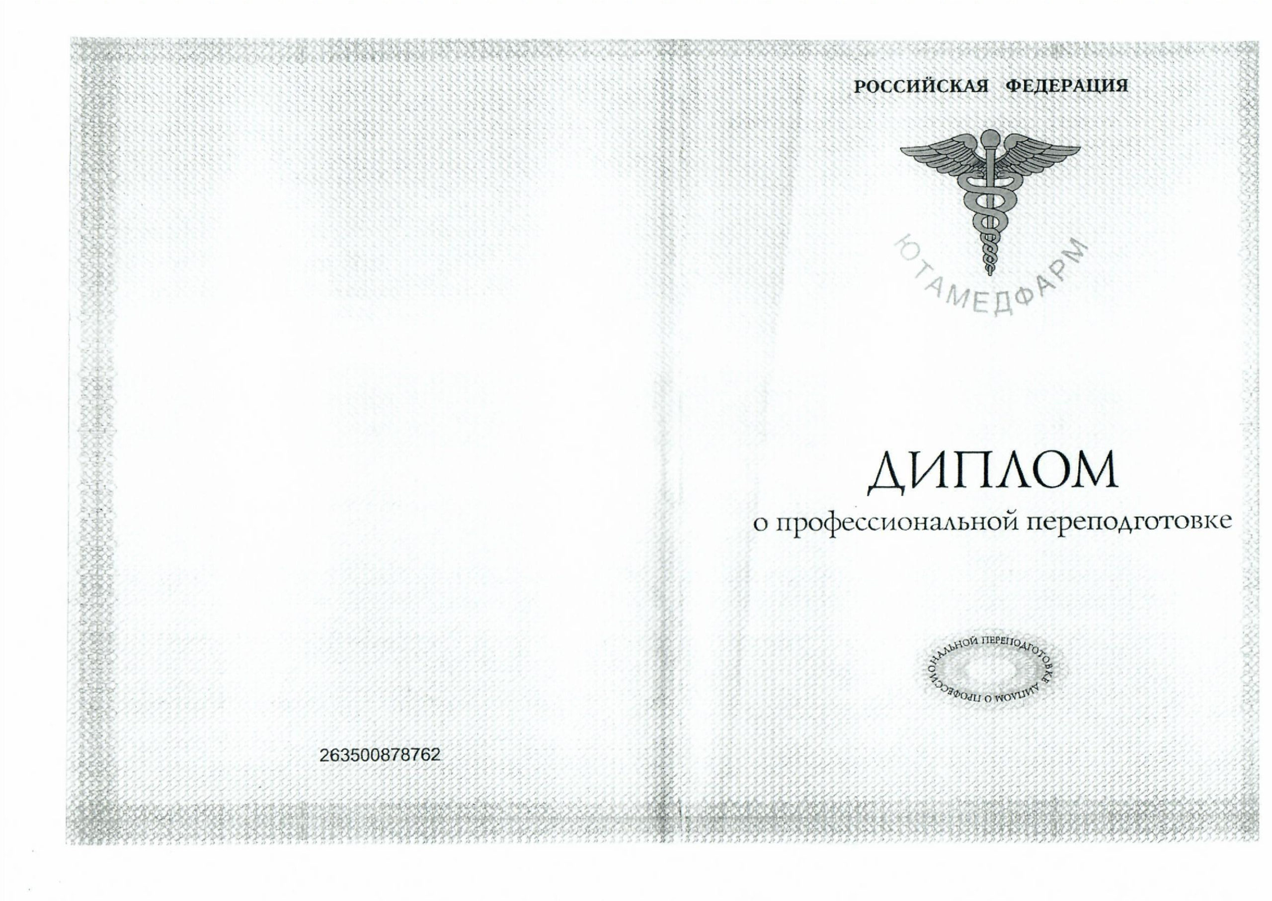 Диплом Хетагуровой Алены Ирбековны